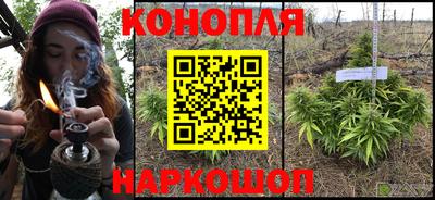 Альфа ПВП Ливны