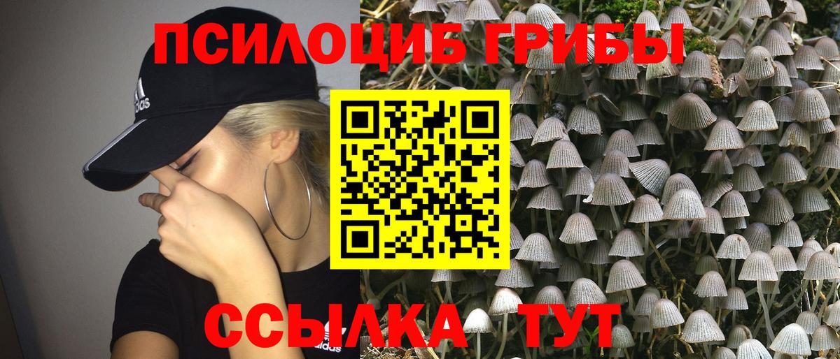 Будённовск  купить закладку  Вход с VPN  Галлюциногенные грибы MAGIC MUSHROOMS 